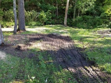 Stump area repaired