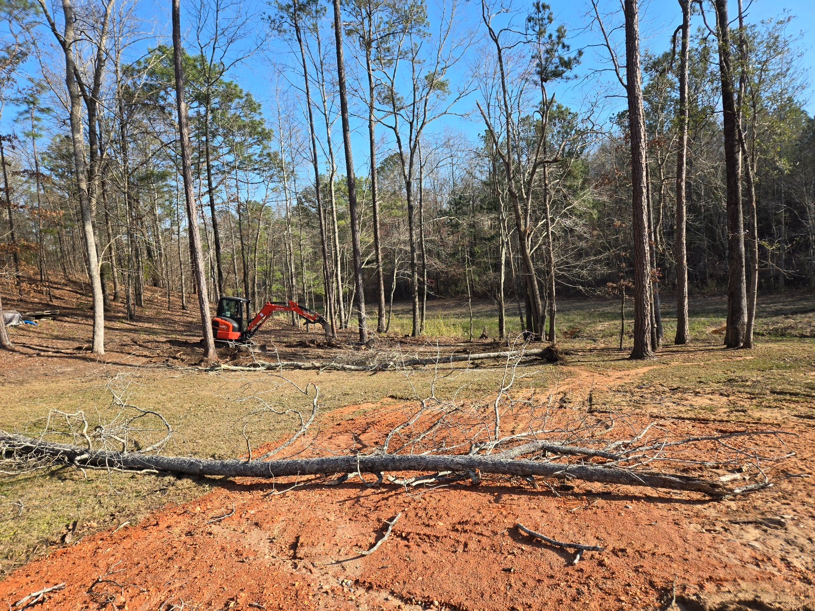 More trees puched down.